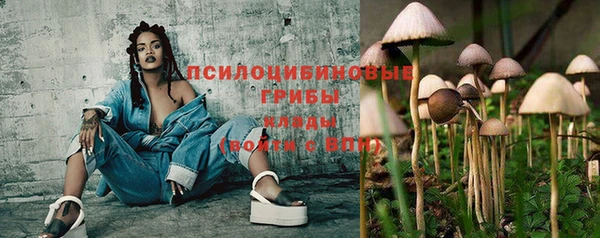 бошки Гусев