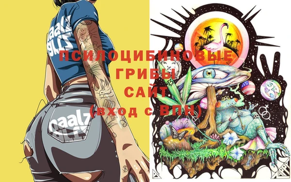 не бодяженный Заполярный