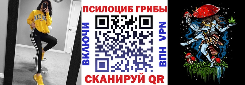 Псилоцибиновые грибы GOLDEN TEACHER  blacksprut tor  Богородск 