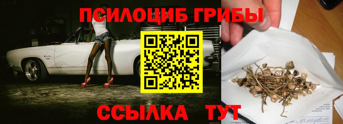 хочу   Вход с VPN  Богородск  Псилоцибиновые грибы прущие грибы 