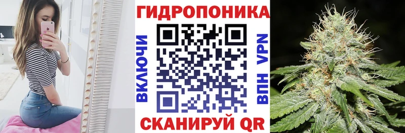 Конопля планчик Богородск